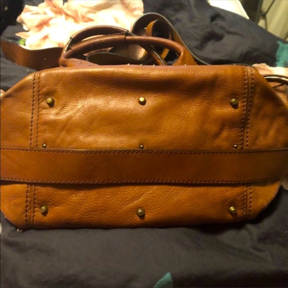 Chloe - Picture 4 of 5